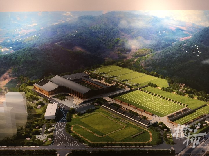 杭州亚运会游泳规则_杭州亚运会游泳_2022杭州亚运会游泳选手