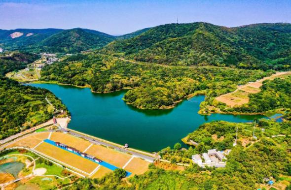 马拉松浦口2024_浦口马拉松_浦口马拉松